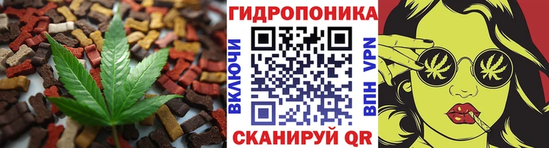 Купить  Ессентукская  Cannafood марихуана 