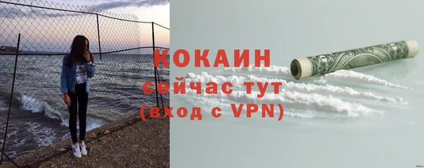 индика Карталы