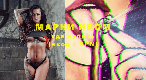 индика Карталы
