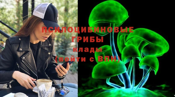 индика Карталы
