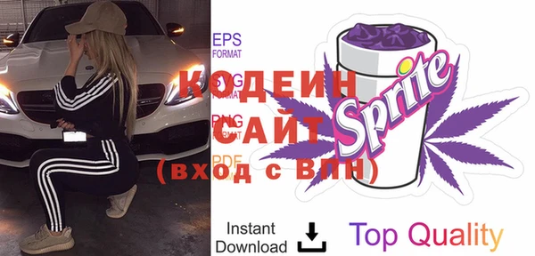 индика Карталы