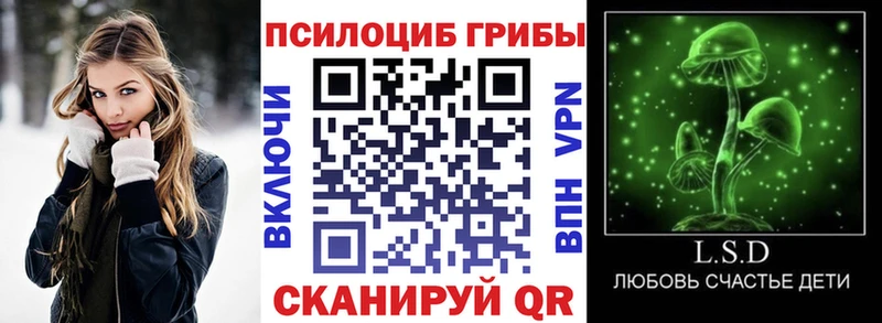 Псилоцибиновые грибы мицелий  Купить где  Ессентукская 